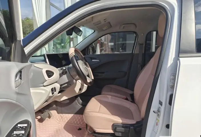 ORA White Cat 2022 Model L Class Edition 305km Luxury Model Ternary lithium – фото 8