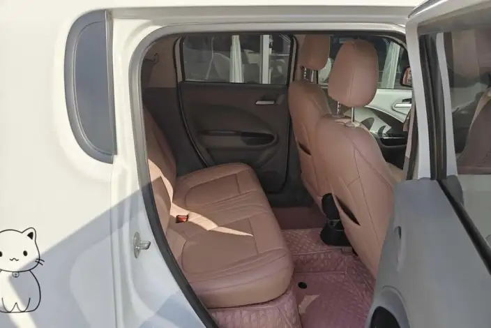 ORA White Cat 2022 Model L Class Edition 305km Luxury Model Ternary lithium – фото 10