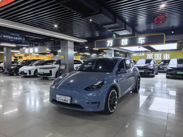 Model Y 2022 Model Performance High performance All-wheel drive version – фото 1