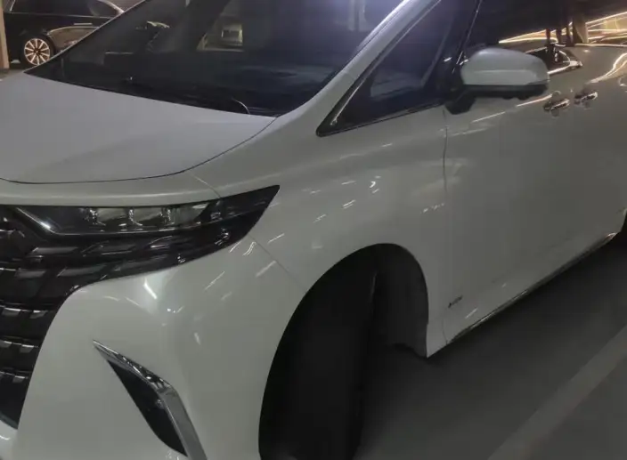 Elfa 2023 Model 2.5L Intelligent Hybrid 4WD Premium Edition – фото 7