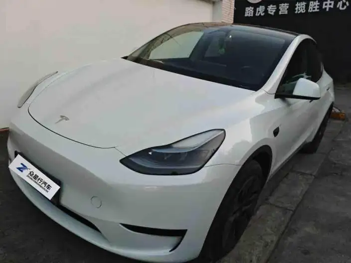 Model Y 2024 Model Rear-wheel drive version – фото 1