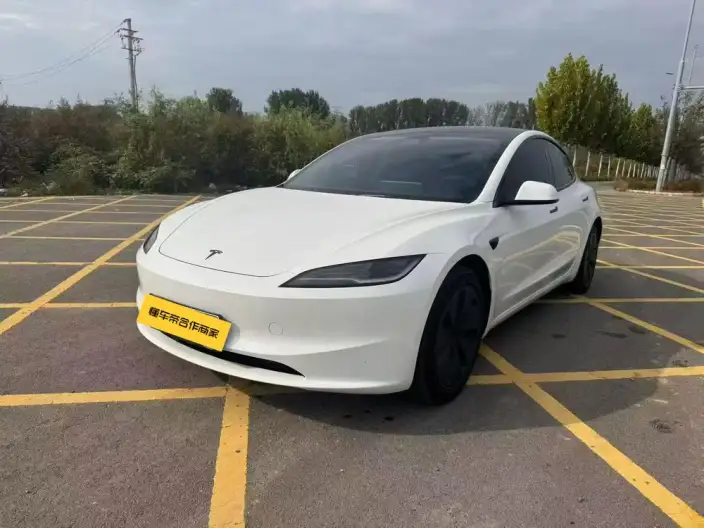 Model 3 2025 Model Facelift Rear-wheel drive version – фото 1
