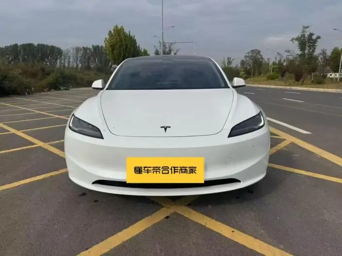 Model 3 2025 Model Facelift Rear-wheel drive version – фото 2