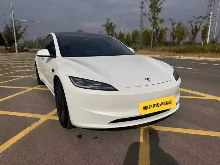 Model 3 2025 Model Facelift Rear-wheel drive version – фото 3