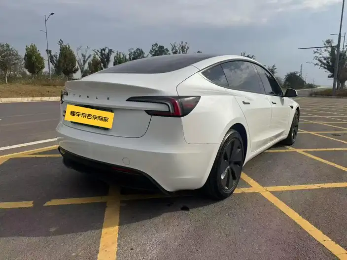 Model 3 2025 Model Facelift Rear-wheel drive version – фото 5