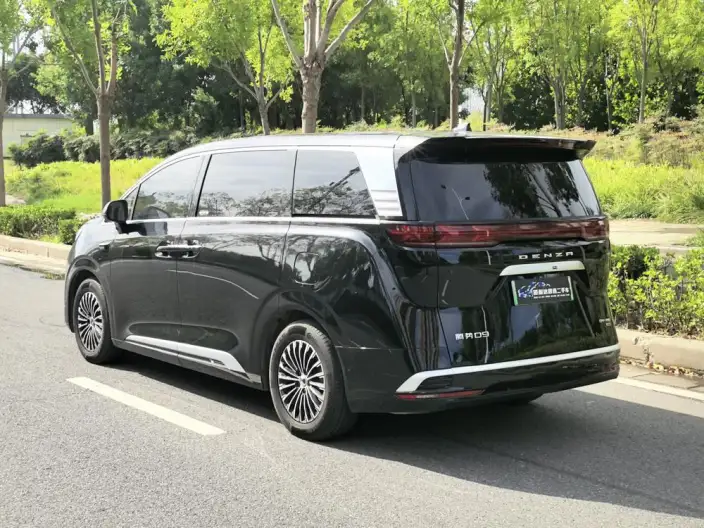DENZA D9 DM 2025 Model Smart Driving Edition 1020 4WD Exclusive Model – фото 5