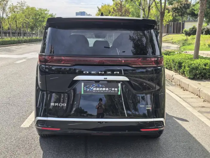 DENZA D9 DM 2025 Model Smart Driving Edition 1020 4WD Exclusive Model – фото 6