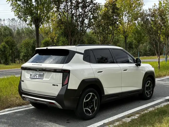 Dongfeng Nano 06 2025 Model 401 Pro – фото 4