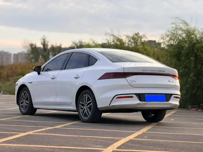 Qin Plus EV 2024 Model Honor Edition 420KM Leading Model – фото 4