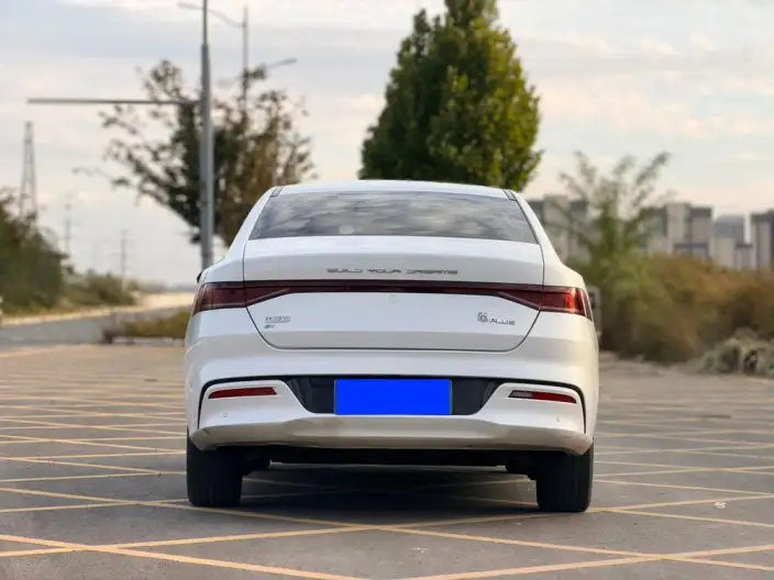 Qin Plus EV 2024 Model Honor Edition 420KM Leading Model – фото 5