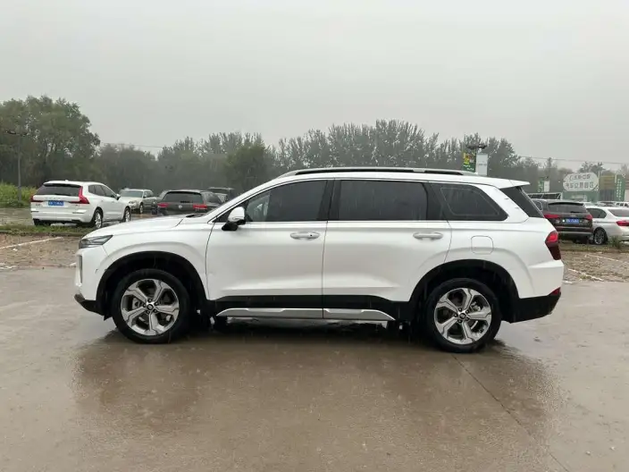 Hyundai Santa Fe 2020 Model 380 TGDi TOP Automatic 4WD Flagship HTRAC