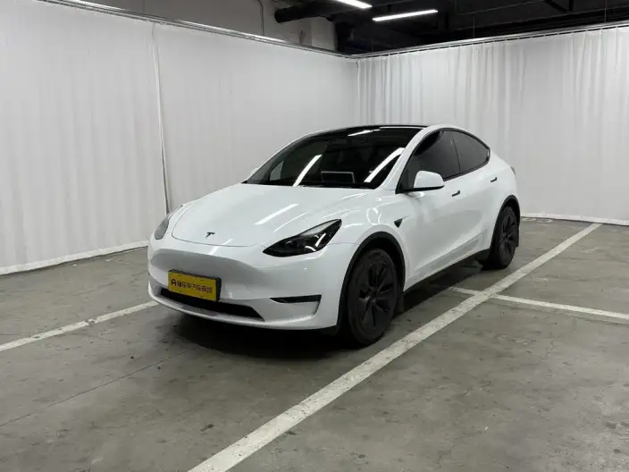 Model Y 2024 Model Long Battery Life Pro All-wheel drive version – фото 1