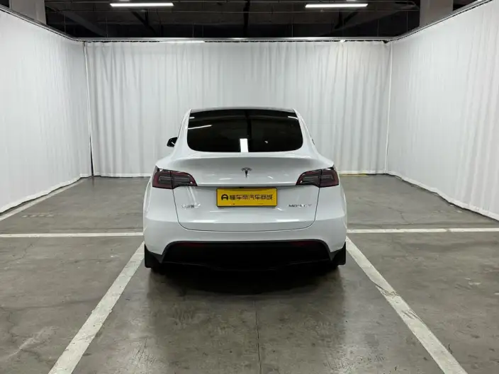 Model Y 2024 Model Long Battery Life Pro All-wheel drive version – фото 6
