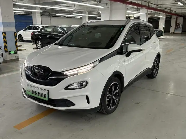 BIAC EX3 2019 Model R600 Strong Wind Version – фото 1
