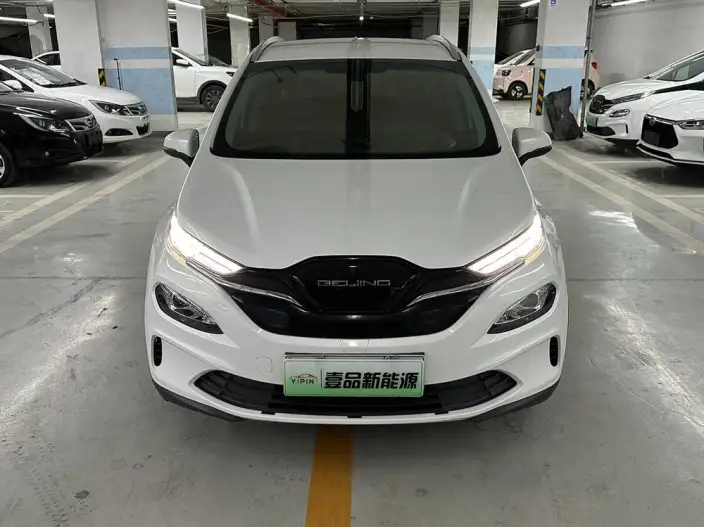 BIAC EX3 2019 Model R600 Strong Wind Version – фото 2