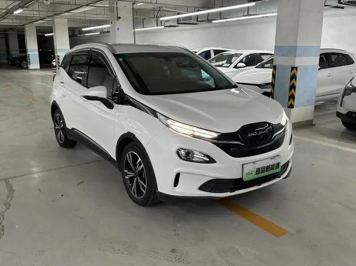 BIAC EX3 2019 Model R600 Strong Wind Version – фото 3