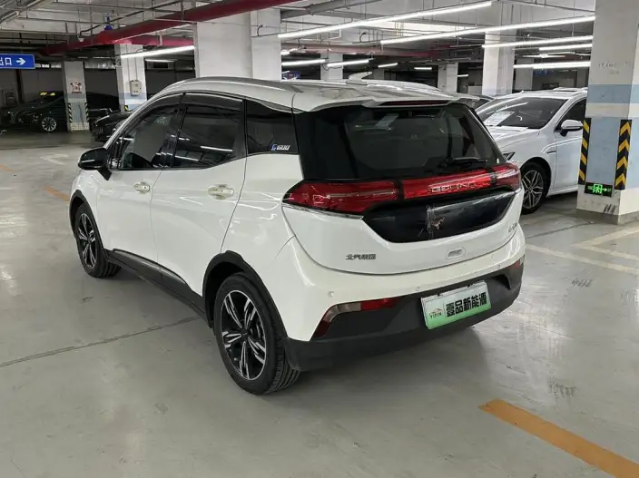 BIAC EX3 2019 Model R600 Strong Wind Version – фото 4