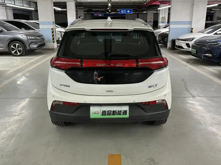 BIAC EX3 2019 Model R600 Strong Wind Version – фото 5