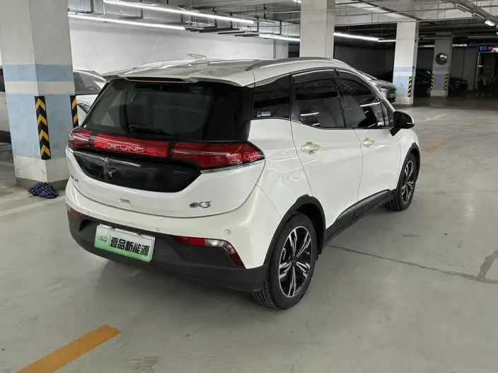 BIAC EX3 2019 Model R600 Strong Wind Version – фото 6
