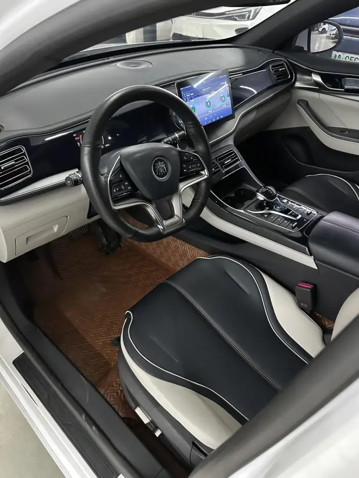 Qin Plus EV 2021 Model 500KM Luxury Model – фото 9