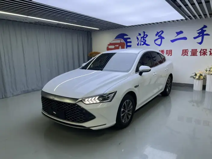 BYD Qin PLUS DM 2024 Model Honor Edition DM-i 55KM Leading Model – фото 1