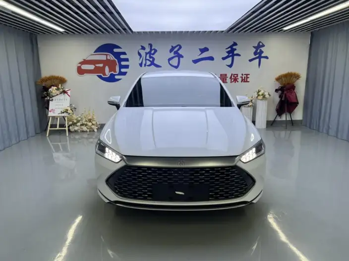 BYD Qin PLUS DM 2024 Model Honor Edition DM-i 55KM Leading Model – фото 2