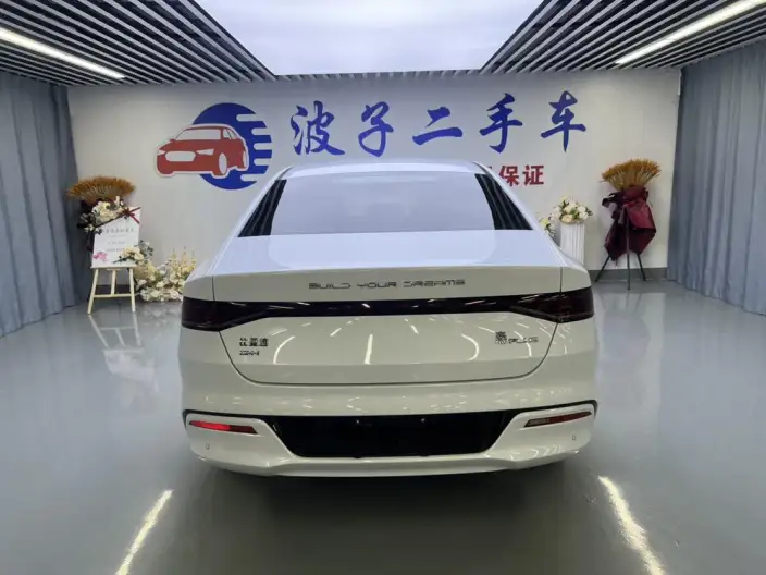 BYD Qin PLUS DM 2024 Model Honor Edition DM-i 55KM Leading Model – фото 6