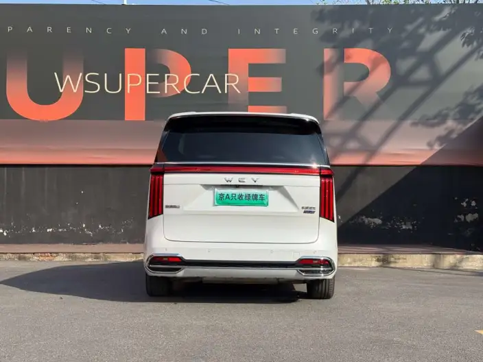 Wey Gaoshan P HEV 2023 Model 4WD Ultimate Edition – фото 3