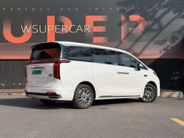 Wey Gaoshan P HEV 2023 Model 4WD Ultimate Edition – фото 4