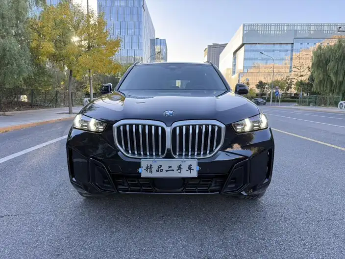 BMW X5 2023 Model xDrive30Li Exclusive Model M Sports Night Set – фото 2