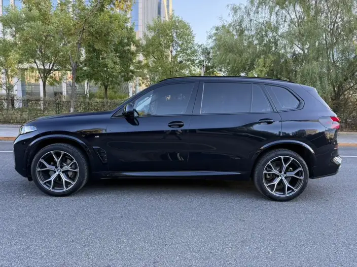 BMW X5 2023 Model xDrive30Li Exclusive Model M Sports Night Set – фото 4