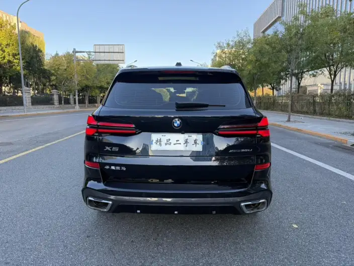 BMW X5 2023 Model xDrive30Li Exclusive Model M Sports Night Set – фото 6