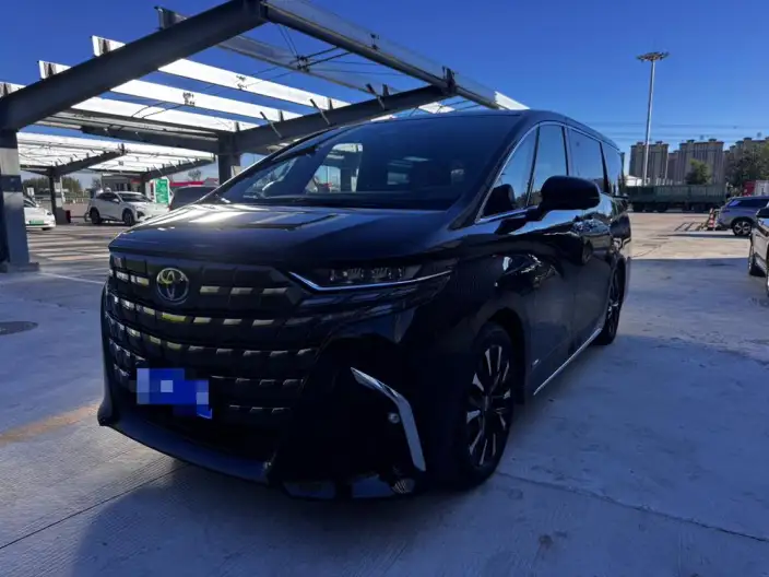 Elfa 2025 Model 2.5L Intelligent Hybrid 4WD Zhen Xiang Gold Edition – фото 1