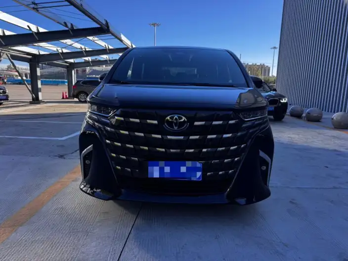 Elfa 2025 Model 2.5L Intelligent Hybrid 4WD Zhen Xiang Gold Edition – фото 2