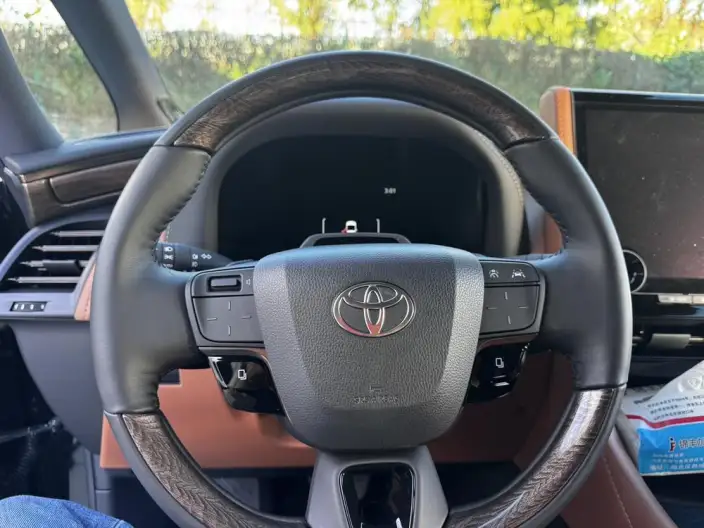 Elfa 2025 Model 2.5L Intelligent Hybrid 4WD Zhen Xiang Gold Edition – фото 10