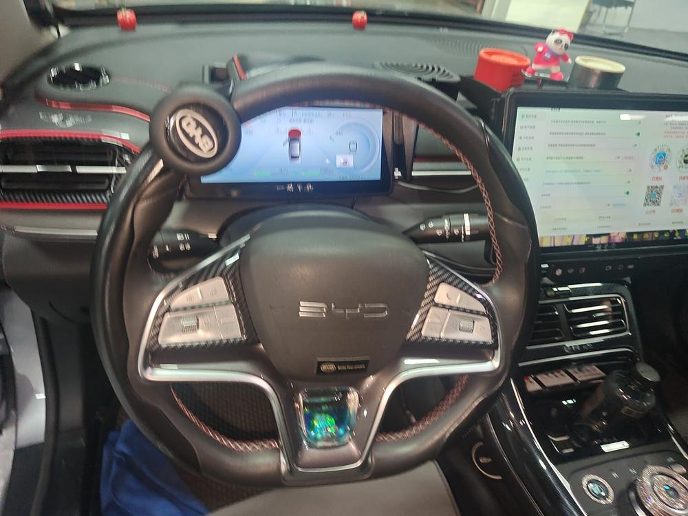 BYD Destroyer 05 2022 DM-i 55KM Premium – фото 7