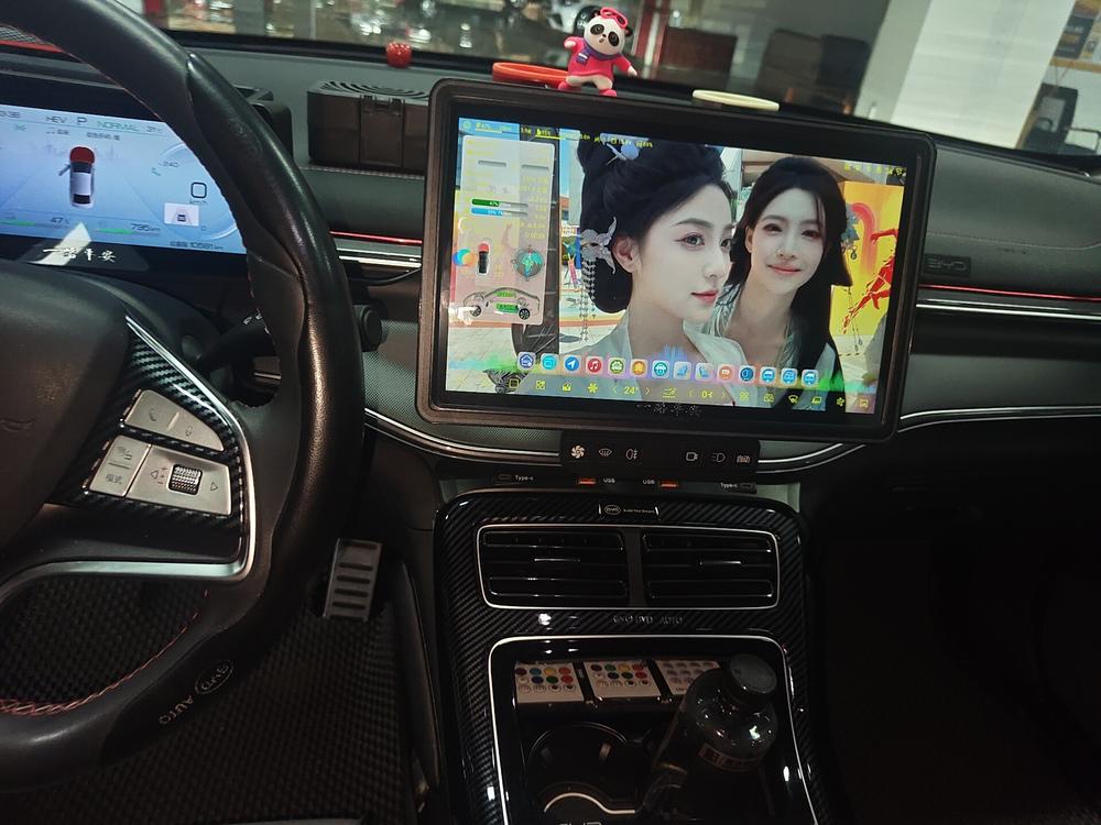 BYD Destroyer 05 2022 DM-i 55KM Premium – фото 8