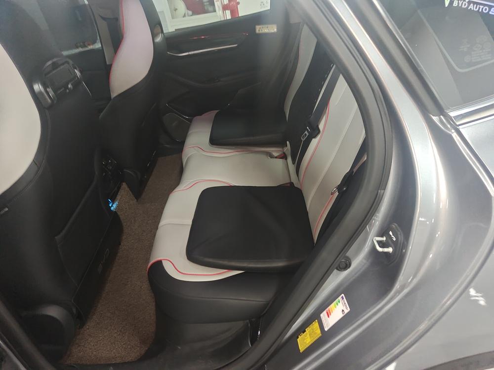 BYD Destroyer 05 2022 DM-i 55KM Premium – фото 12