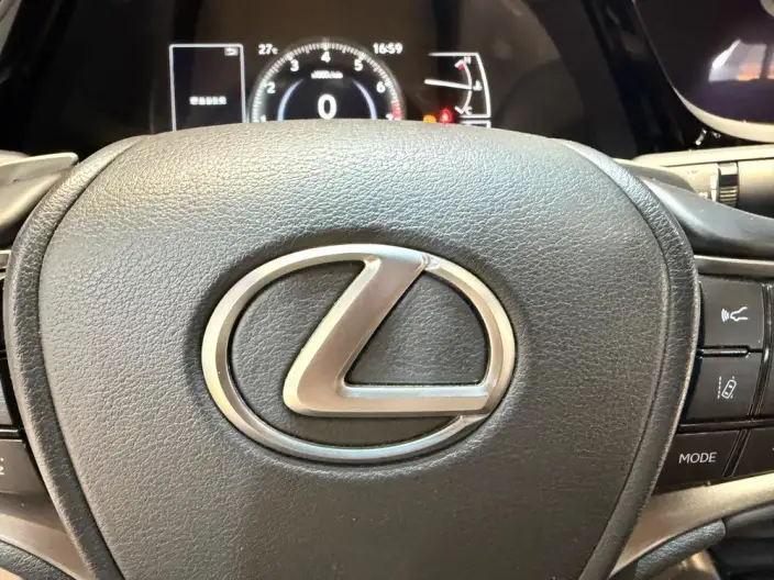 Lexus ES 2021 Model 200 Superior Edition – фото 7
