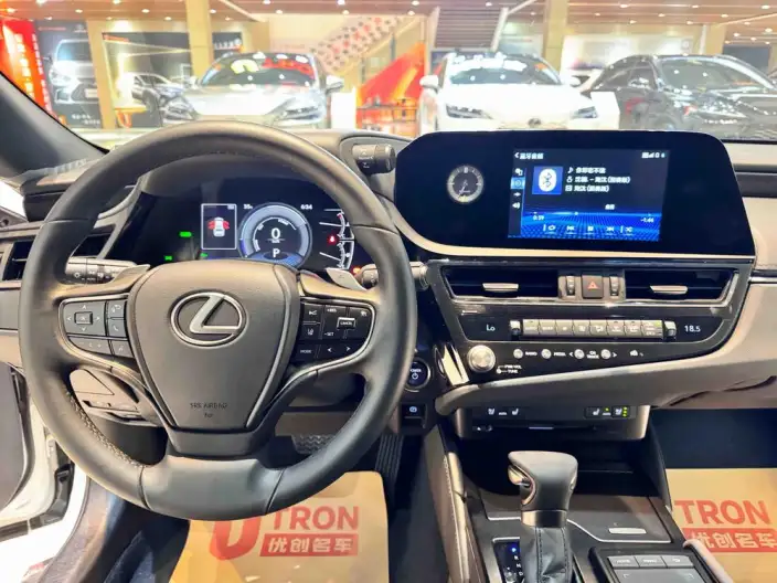 Lexus ES 2021 Model 300h Premium – фото 9