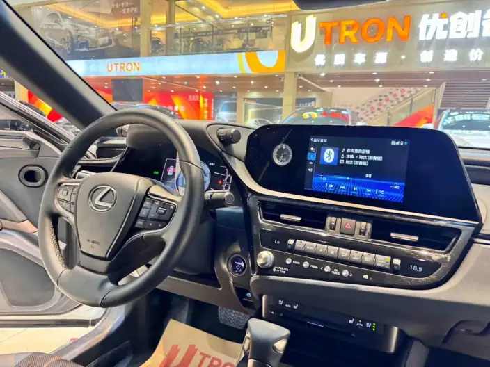 Lexus ES 2021 Model 300h Premium – фото 10