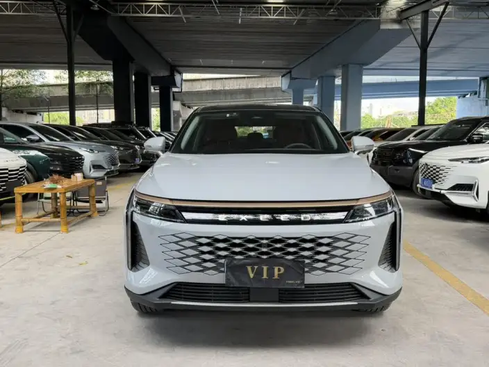 EXEED Yaoguang 2023 Model 400T 4WD Exclusive Feiyu Edition – фото 2