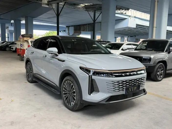 EXEED Yaoguang 2023 Model 400T 4WD Exclusive Feiyu Edition – фото 3