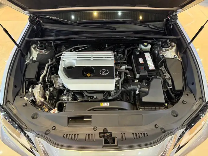 Lexus ES 2021 Model 200 Superior Edition – фото 8