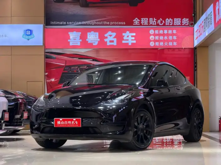 Model Y 2022 Model Rear-wheel drive version – фото 1
