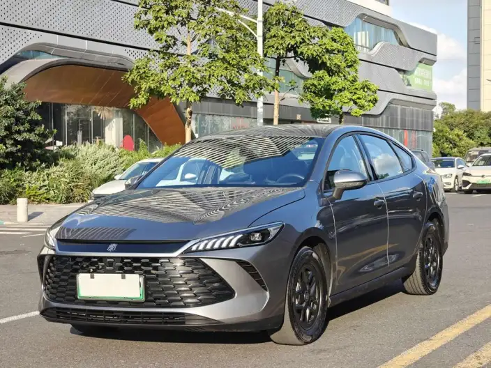 BYD Qin PLUS DM 2025 Model Smart Driving Edition DM-i 55KM Leading Model – фото 1