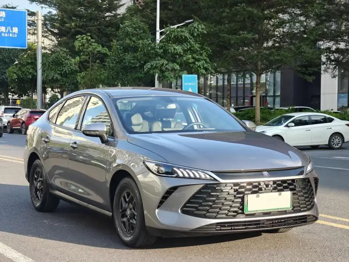 BYD Qin PLUS DM 2025 Model Smart Driving Edition DM-i 55KM Leading Model – фото 3