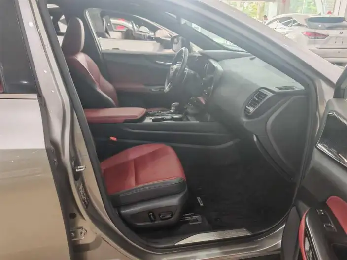 Lexus NX 2022 Model 260 Qian Drive Innovation Drive Edition – фото 5