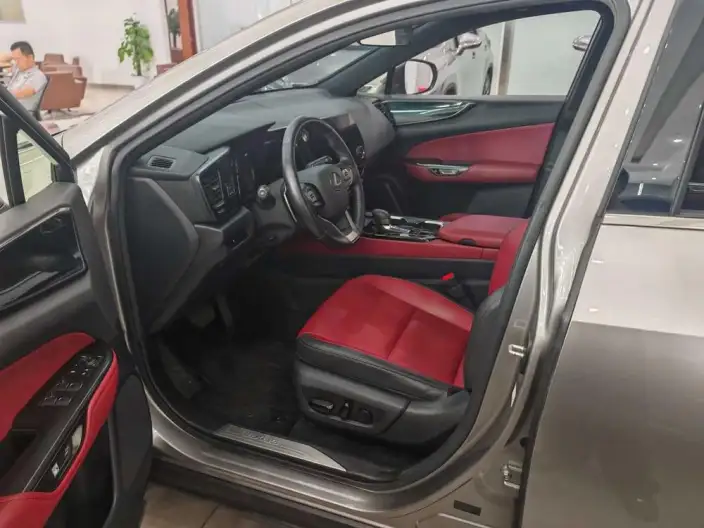 Lexus NX 2022 Model 260 Qian Drive Innovation Drive Edition – фото 8
