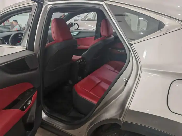 Lexus NX 2022 Model 260 Qian Drive Innovation Drive Edition – фото 9